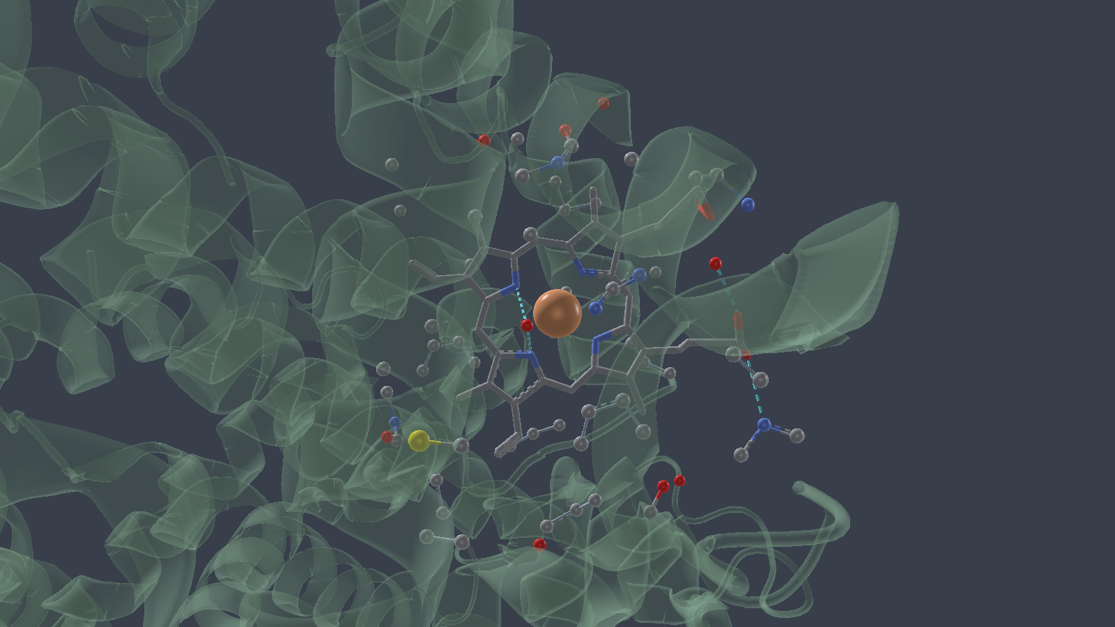 Orbitron rendering of haemoglobin's haem binding pocket: a translucent muted-green ribbon behind the haem drawn in grey sticks, its iron as a small orange sphere in the ring, and cyan dashed polar contacts to the surrounding residues and waters